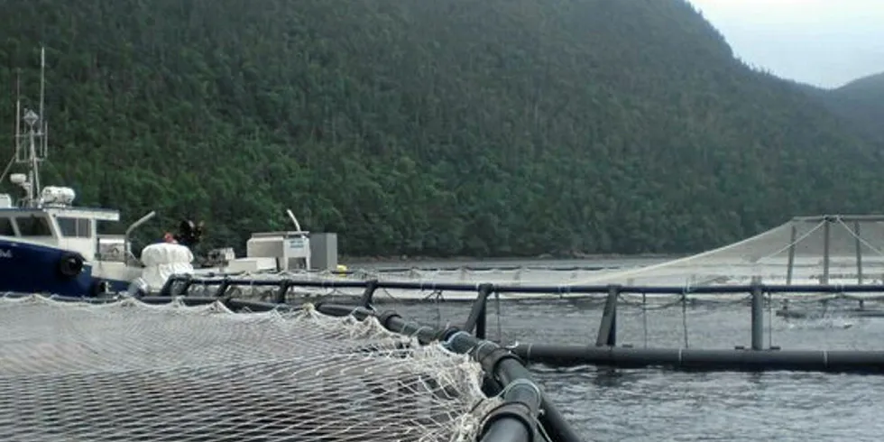 Northern Harvest had several licenses suspended following a massive fish die-off.