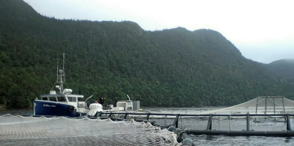 Northern Harvest licenses were suspended in October following massive fish die-off.