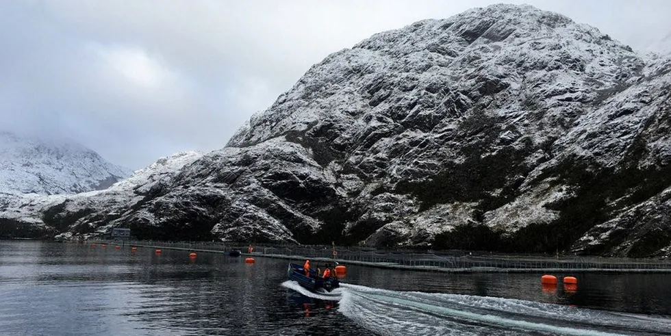 Sixty South in the pure Antarctic waters of Porvenir, Tierra del Fuego. . Sixty South salmon farm Chile.