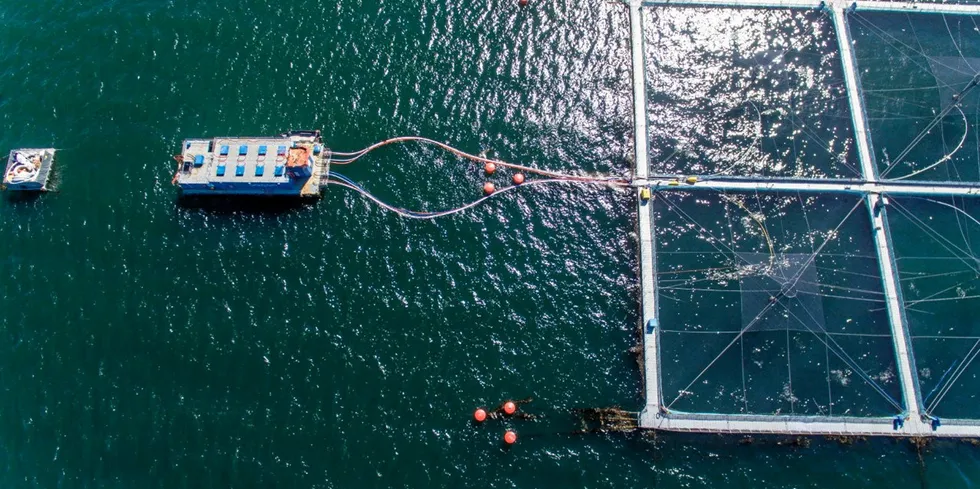 Camanchaca, BioMar and Skretting have agreed to step up their game on sustainability.