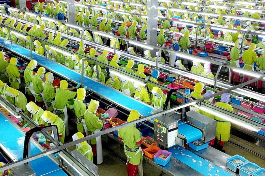 Shrimp processing at one of Bumi Menara Internusa's huge Indonesian factories.
