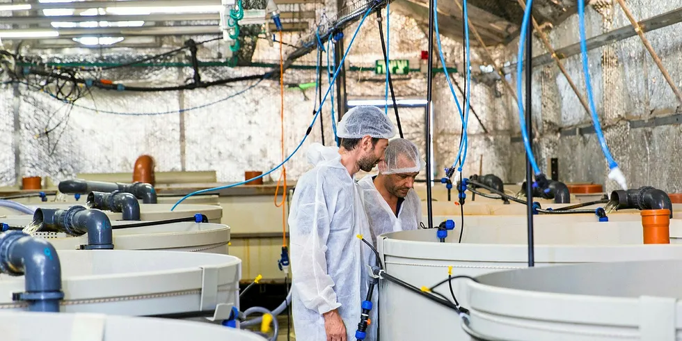 Aquamof: New technology ready for 2020.