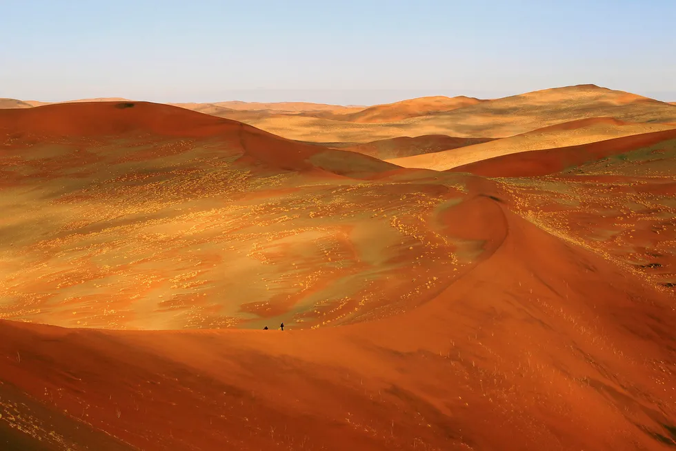 Campaign: Namibia-focused ReconAfrica is gearing up for an onshore drilling effort