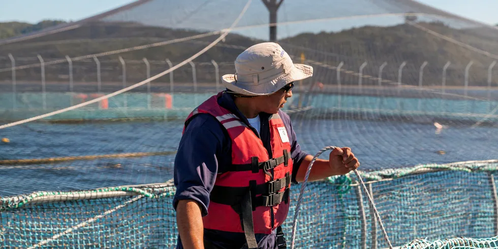 Camanchaca expects to more than double coho harvests in 2023.