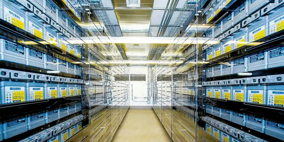 Battery storage is leading the way but other technologies are waiting in the wings.