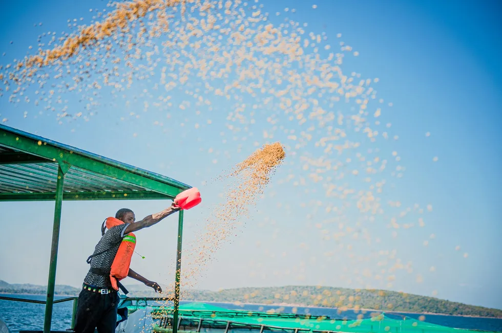 Proceeds from blue bond issuances could help support sustainable investment across the seafood industry.