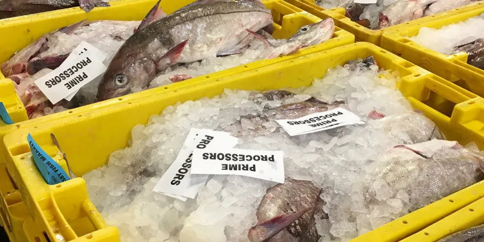 The combined effect of buyers holding back orders and the COVID-19 crisis has depressed fish prices.
