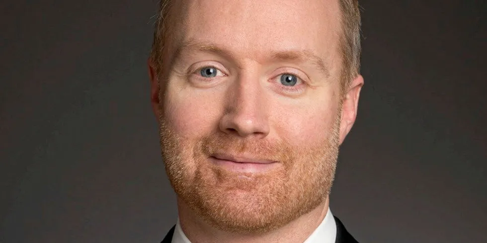 Former High Liner Foods and Gorton's executive Mike Kocsis has joined the Global Seafood Alliance.