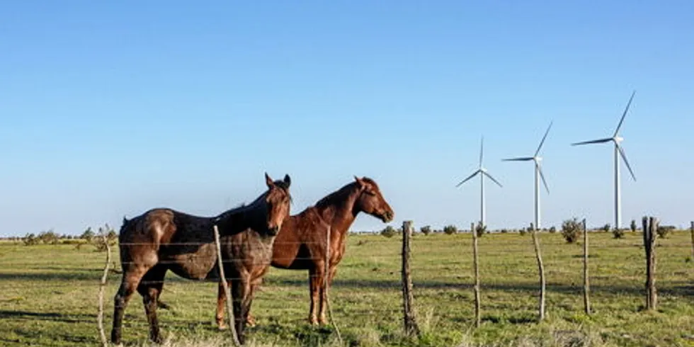 Hereford Wind Farm in Texas.