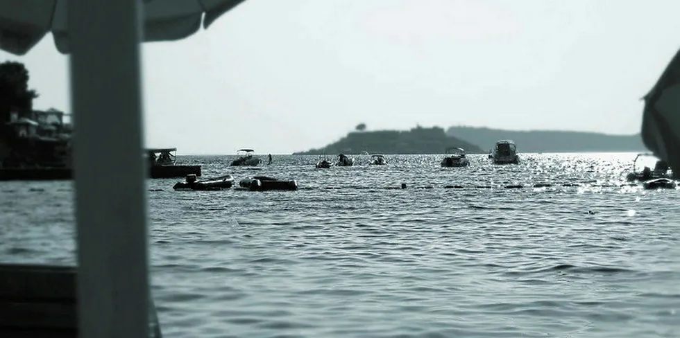 The project would bring offshore wind to the Adriatic.