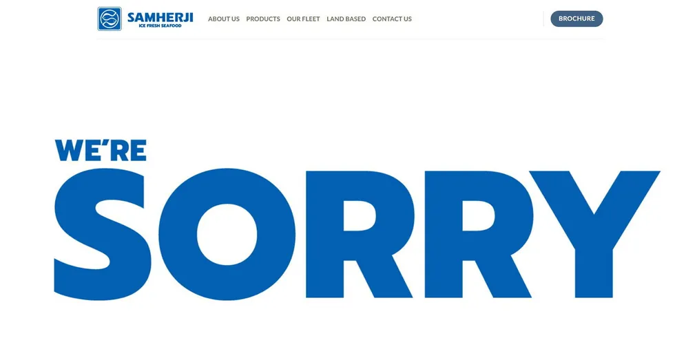 A screen shot of the fake website.