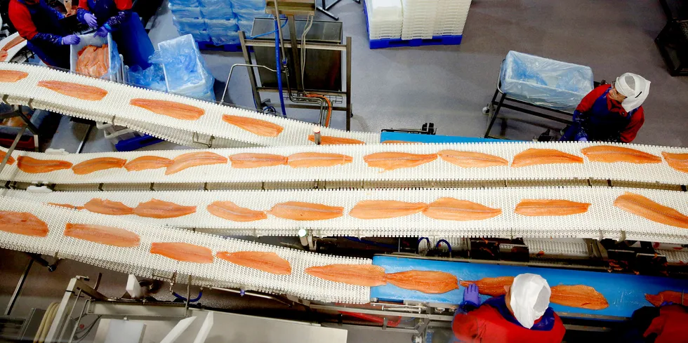 Nordlaks processing facility in Stokmarknes, Norway. The firm is quite optimistic despite the low prices in the market.
