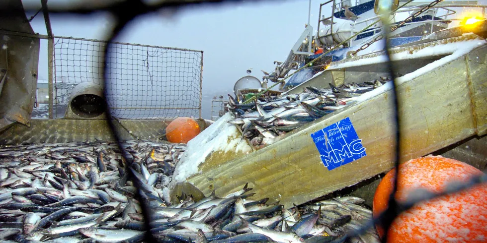 Countries fishing on the stocks have been unable to agree on how to divide the catch between them, which has resulted in harvests above the recommended quota levels.