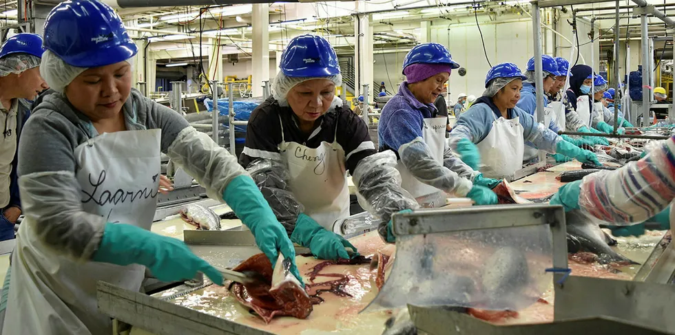 Workers processing wild salmon at Marubeni's North Pacific Seafoods' Red Salmon plant in Alaska.