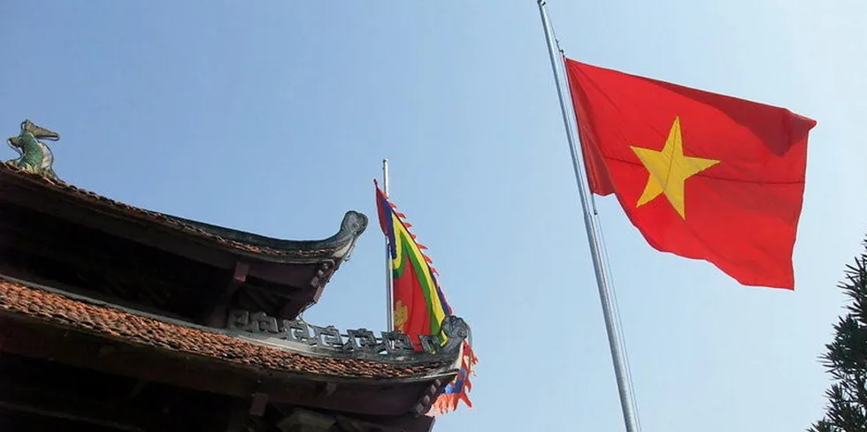 . Vietnam flag.