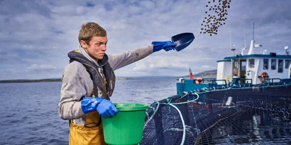 Farm-raised Scottish salmon is the UK’s biggest food export with international sales valued at £280 million (€330 million/$340 million) for the first half of 2022.