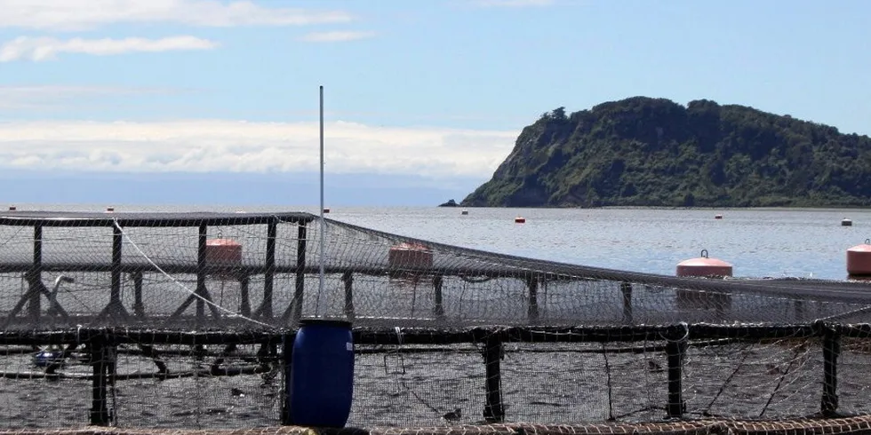Memories of the disastrous 2016 algal bloom outbreak in Chile have not faded.