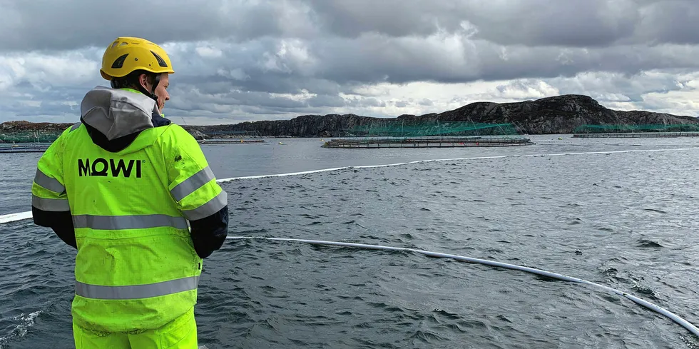 So far the indications are this is "fortunately a very limited escape," Eivind Naevdal-Bolstad, communications manager at Mowi, told IntraFish.