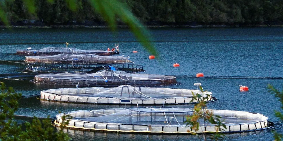 Chile has made investors nervous, but Camanchaca is giving them second thoughts.