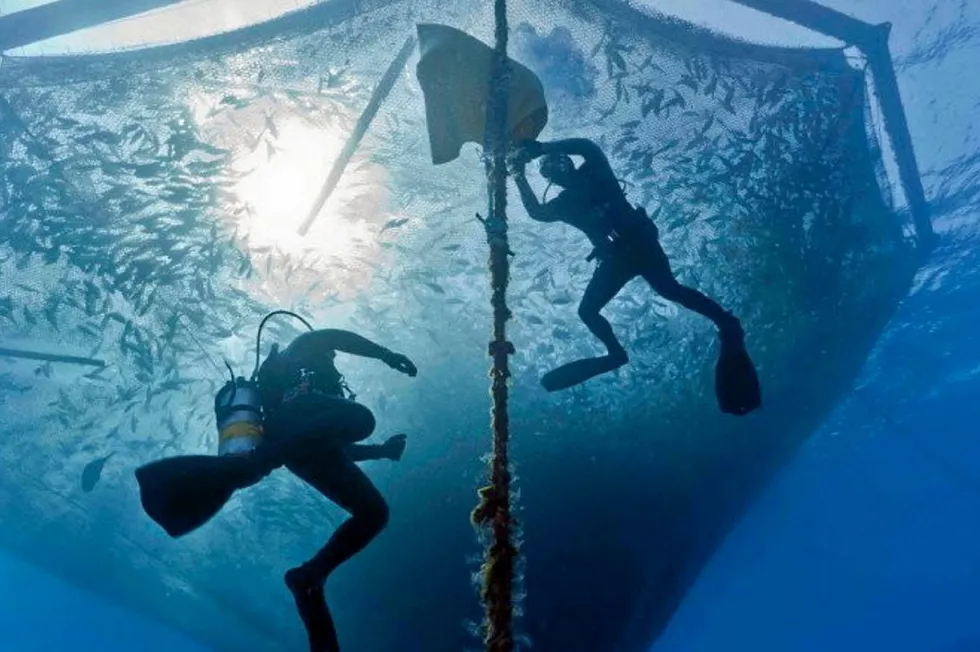 Innovations are reshaping the global aquaculture industry.