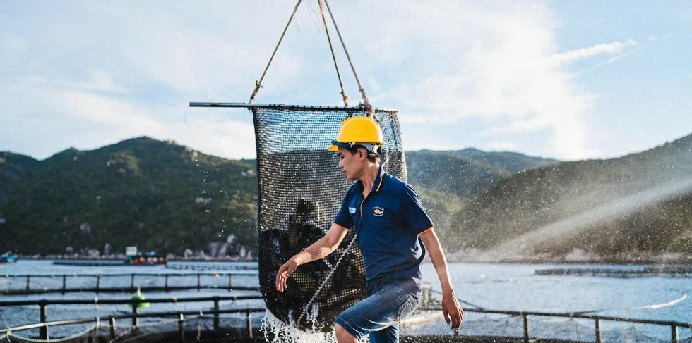 Barramundi producer Australis Aquaculture has become the world’s first producer to achieve certification under the ASC’s Tropical Marine Finfish (TMFF) standard for its ocean-based farm in central Vietnam.