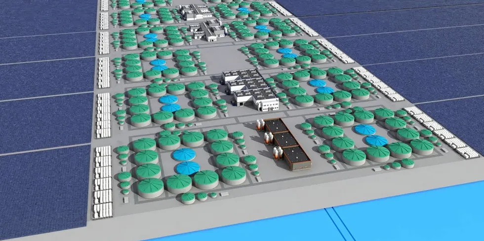 Maiken Foods, the company behind a proposed 100,000 metric ton land-based salmon facility in Portugal.