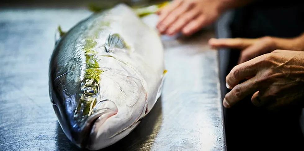 Biomass reduction was completed through an accelerated harvest and sale of around 550 metric tons into the fish protein market.