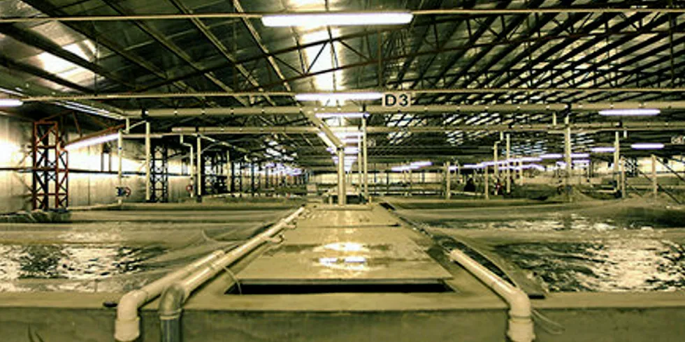 Sino Agro Food's aquaculture farms were touted as potentially being among the most productive in the world.