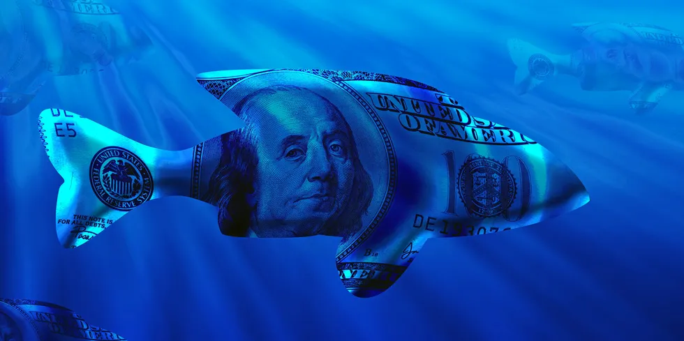 Plenty of money found a home in the seafood, fisheries and aquaculture sectors in 2020, with over 60 mergers, acquisitions or significant investments, according to new IntraFish research.