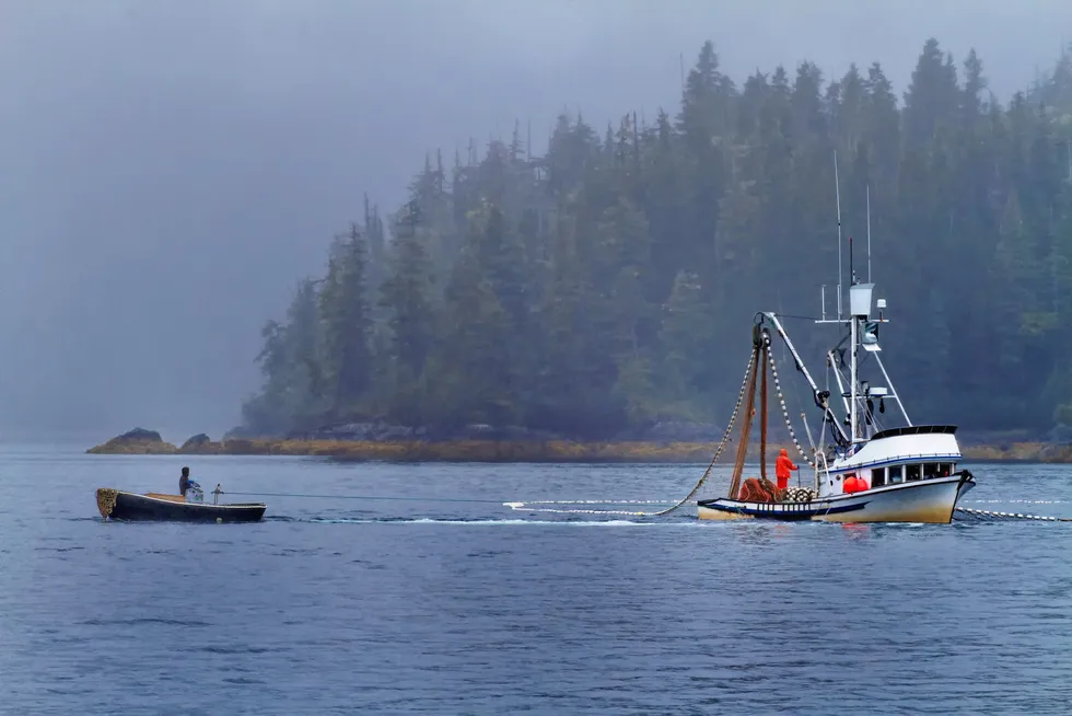 Prince William Sound's pink salmon fishermen had a challenging 2024.