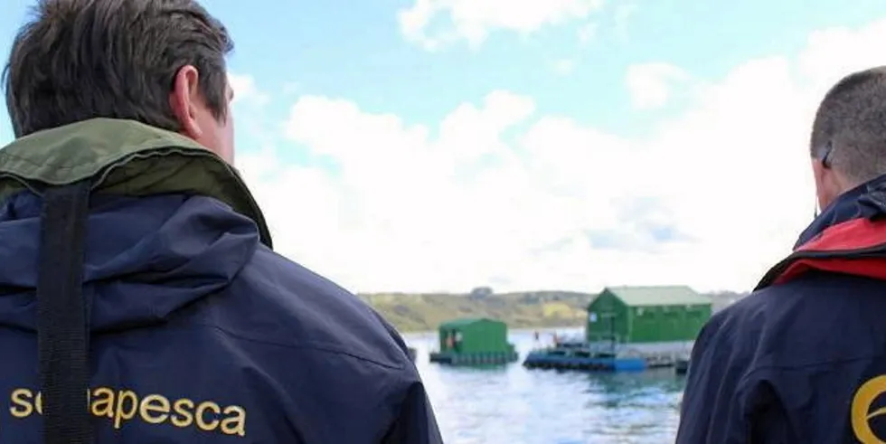 Officials are waiting for weather conditions to improve before entering the AquaChile salmon farm.