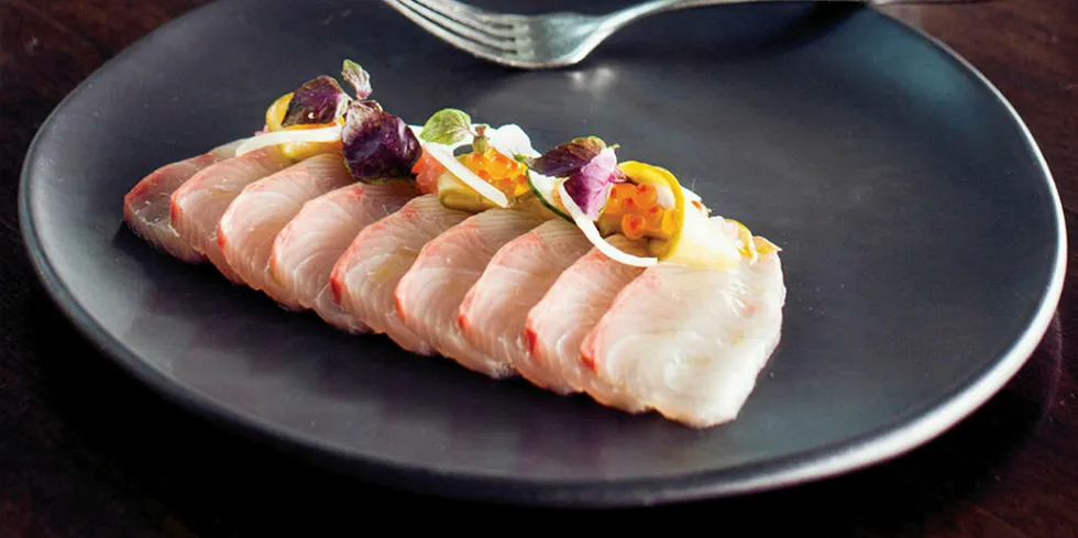 Kingfish plate shot.