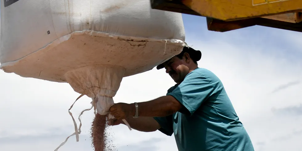 An agricultural worker spreads fertiliser in Brazil - the nation relies heavily on imports.