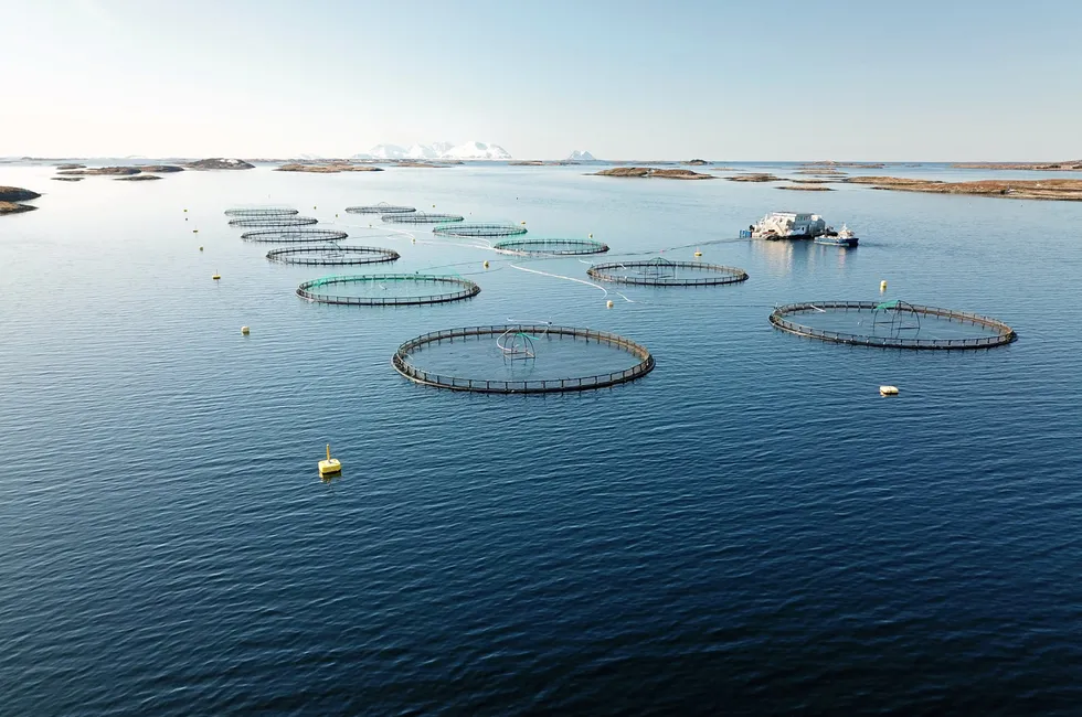 Mowi is among the list of companies that must reduce production in western Norway under the government's traffic light system.