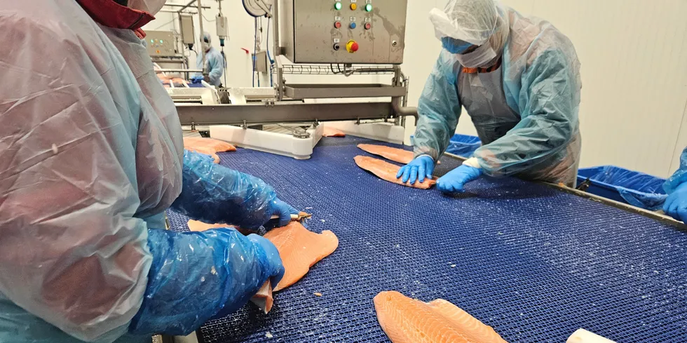 The holiday period is helping to send salmon prices up sharply.
