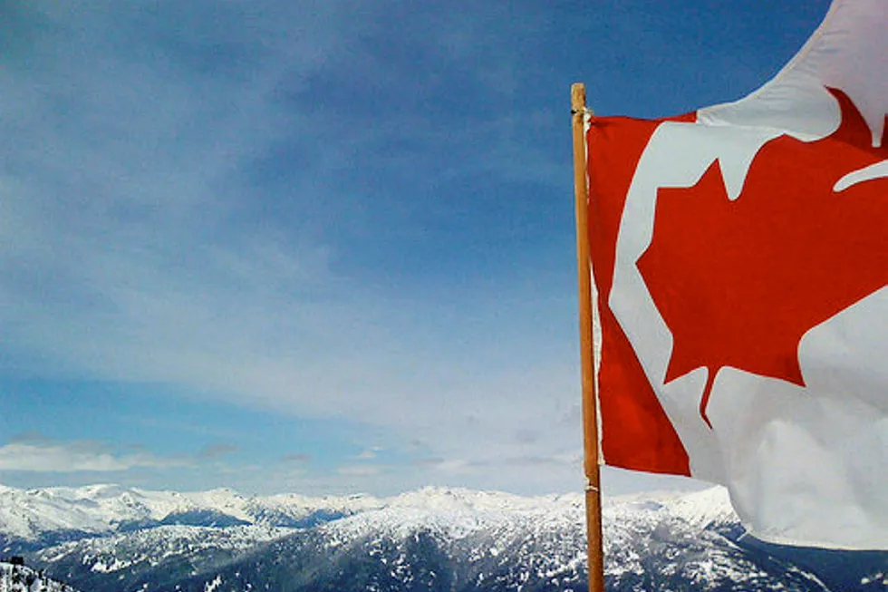 Canada: Whitebark has hit oil in its latest well in Alberta