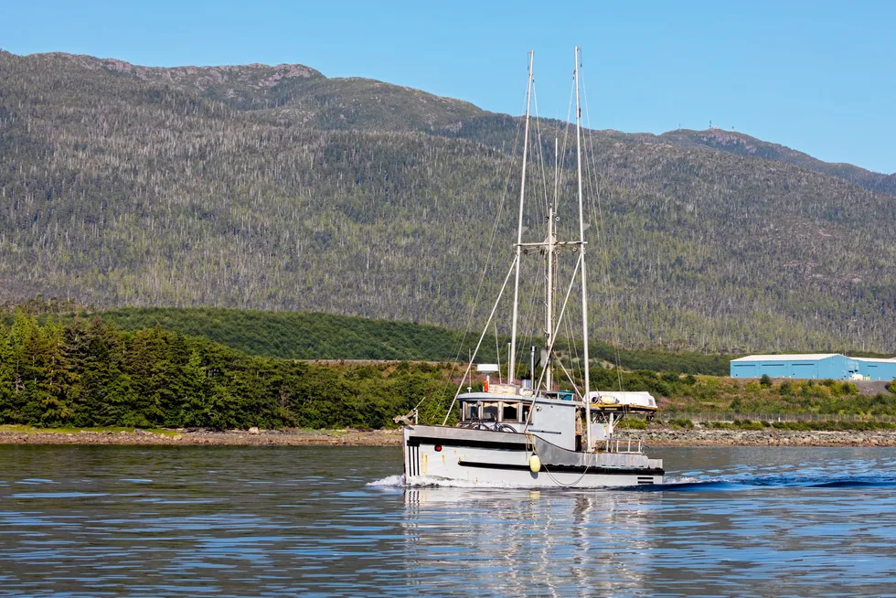 An endangered species listing for Gulf of Alaska king salmon would primarily impact the state's commercial troll fleet