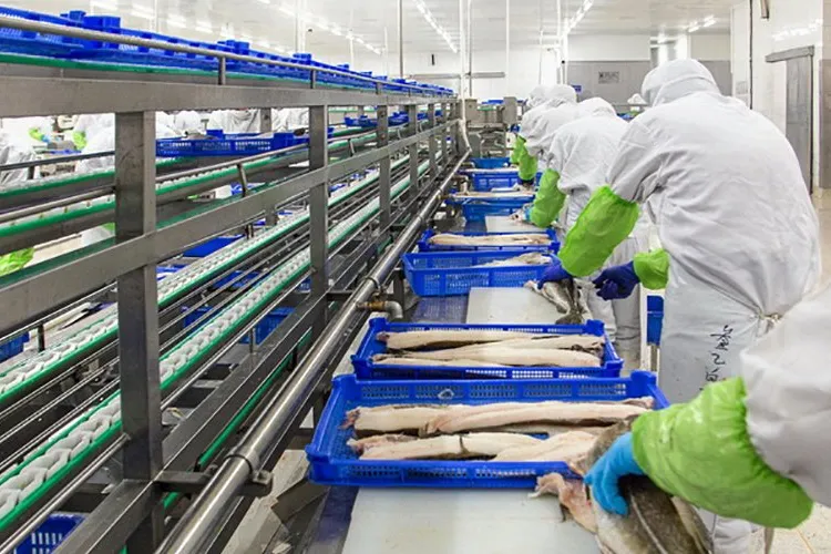 "If [the United States puts a tariff] on frozen fillets, then it might be an interesting dynamic in the global trade of seafood," said Sigmund Bjorgo, China director for the Norwegian Seafood Council.