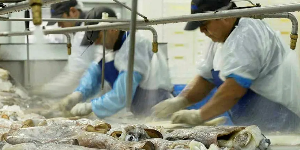 Landes will have to shut down its cuttlefish processing plant.