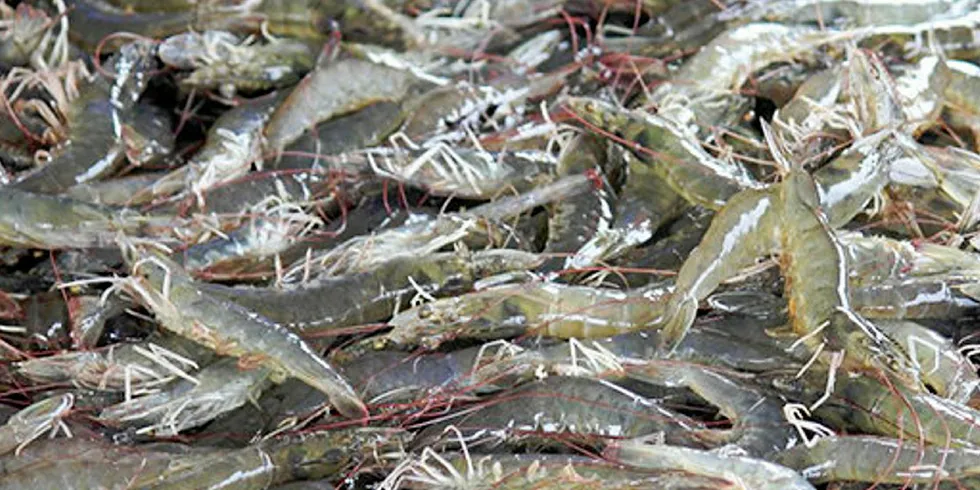 US rejects antibiotic-tainted shrimp from China, Vietnam