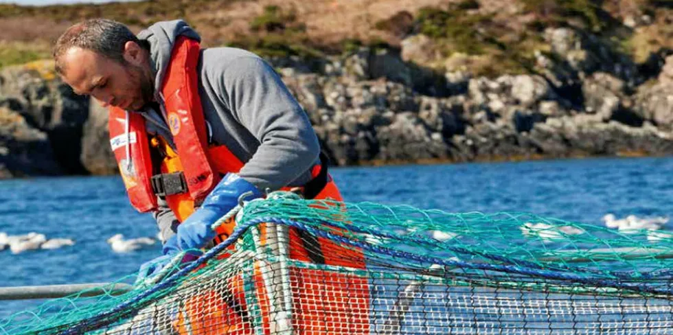 Scottish salmon farmers are riding out the storm.