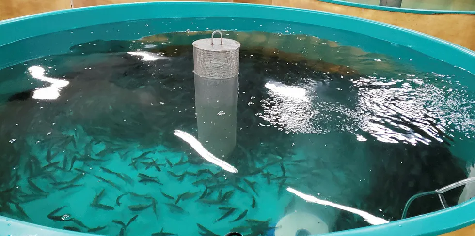 The tycoon purchased shares in AquaBounty.