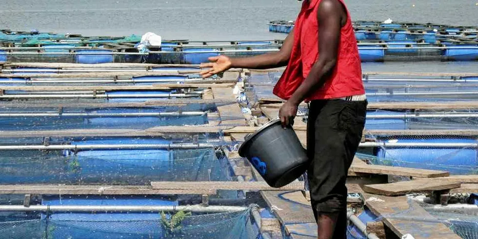 Nigeria along with Egypt has been a strong focus of attention for Skretting, but the feed producer may cast the net wider to East Africa.