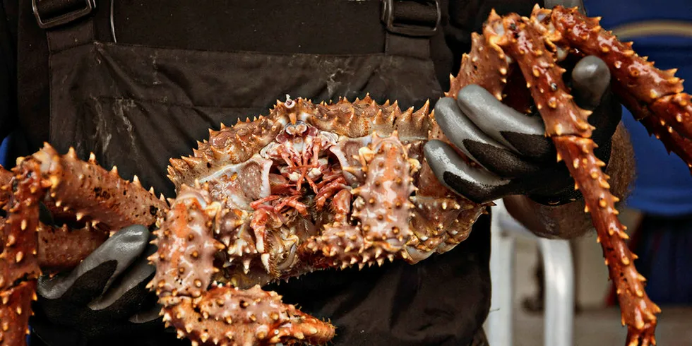 VIDEO: How healthy are Alaska crab stocks?