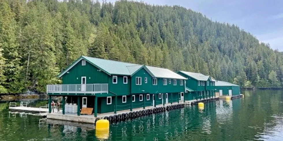 Mowi's Klemtu operations in British Columbia could be halted if Canada's Fisheries Minister does not renew six licenses for the farms.