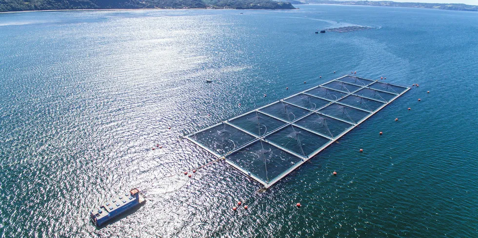 Salmones Camanchaca is maintaining its full year harvest estimates for 2020