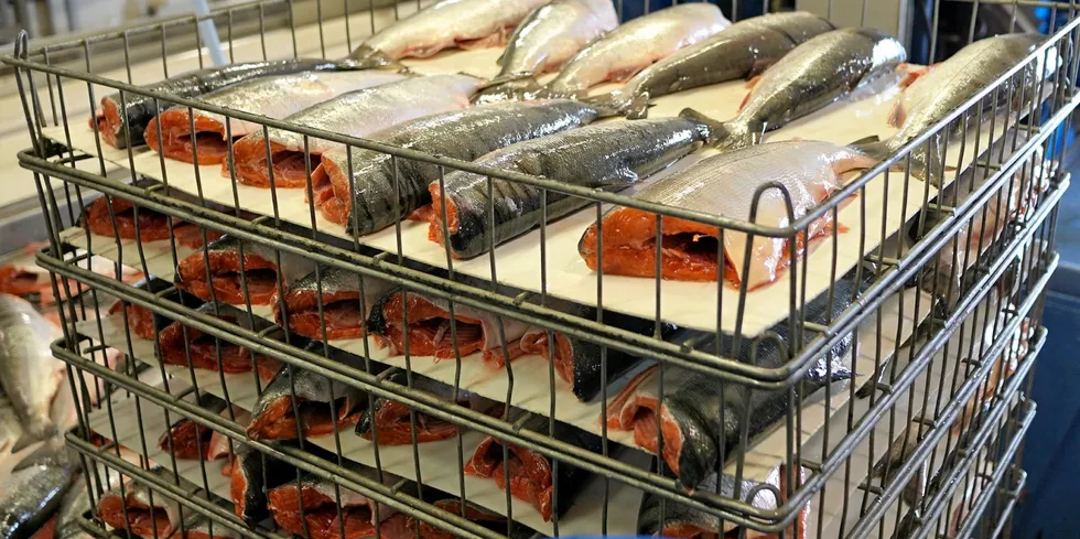 Fresh Alaska sockeye salmon at Alaska General Seafoods' processing facility.