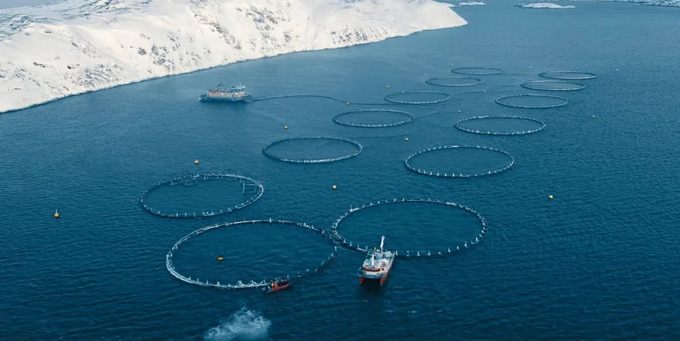 'Of course, our feed supply chains are disrupted or under big threat now,' a source from Russian Salmon told IntraFish.