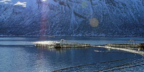 Norway Salmon Farm