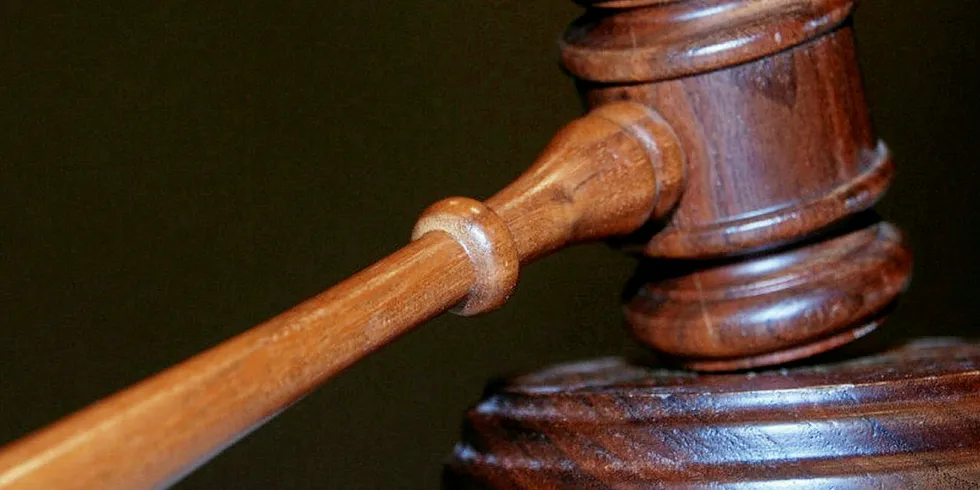 A new lawsuit puts trade associations in the spotlight of salmon-collusion case.